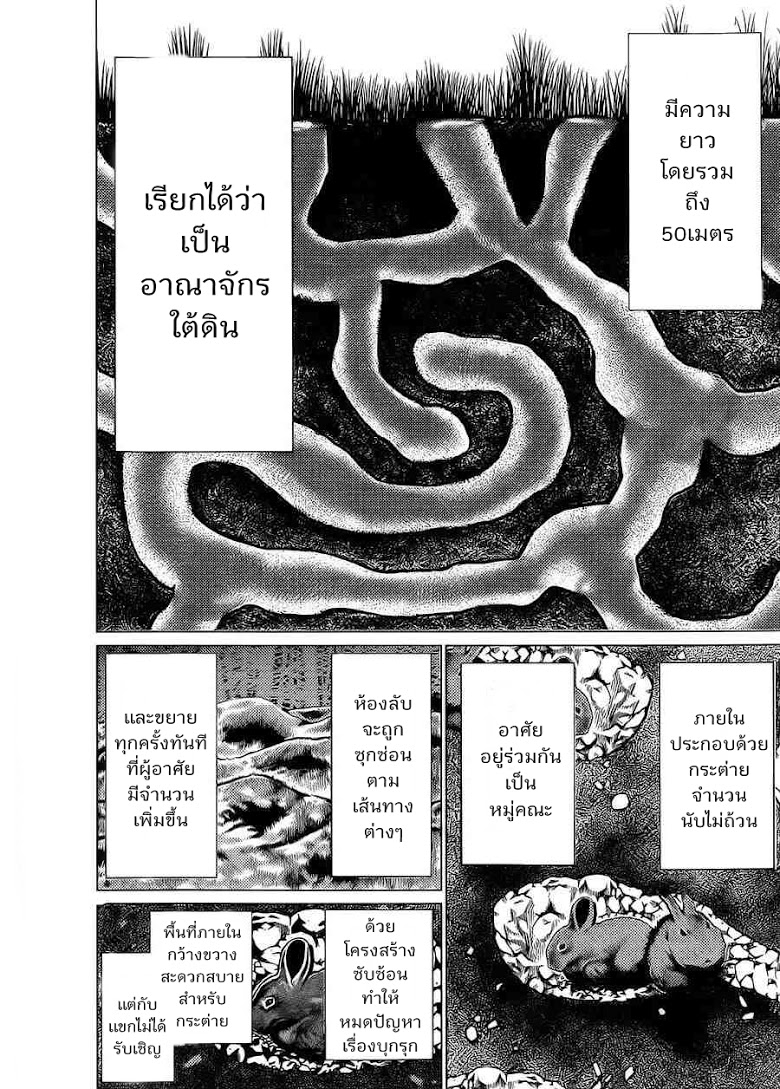 อ่าน Killing Bites