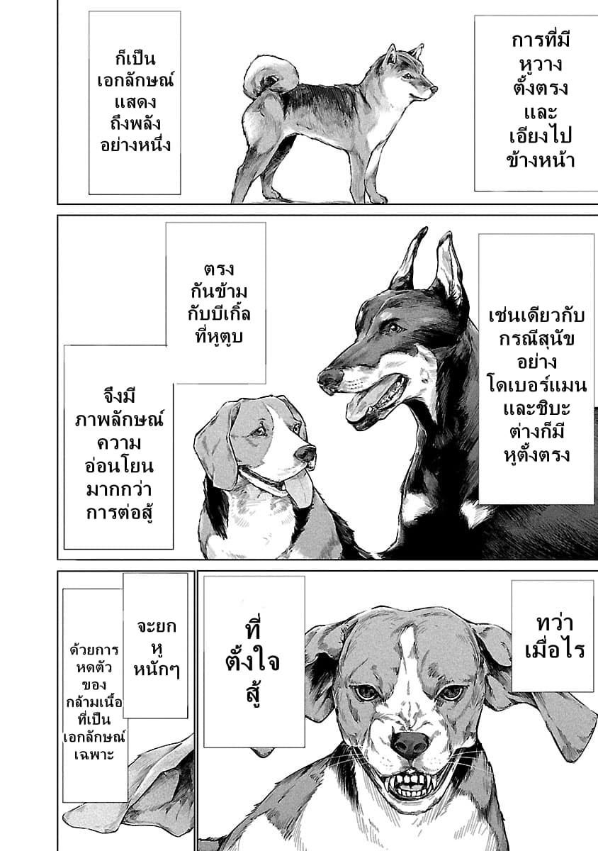 อ่าน Killing Bites