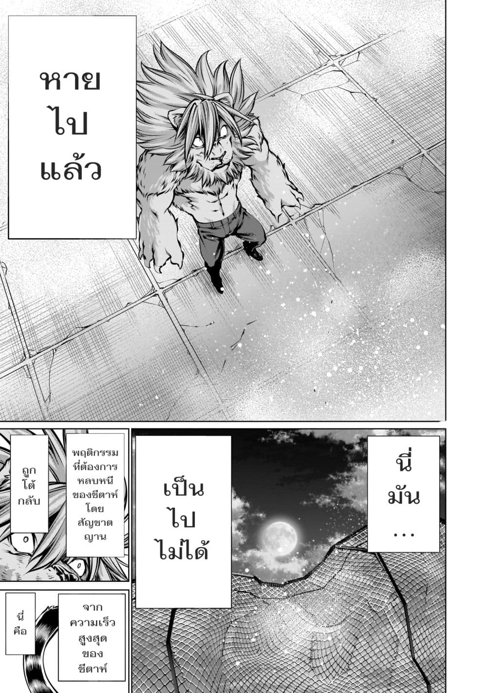 อ่านมังงะ การ์ตูน