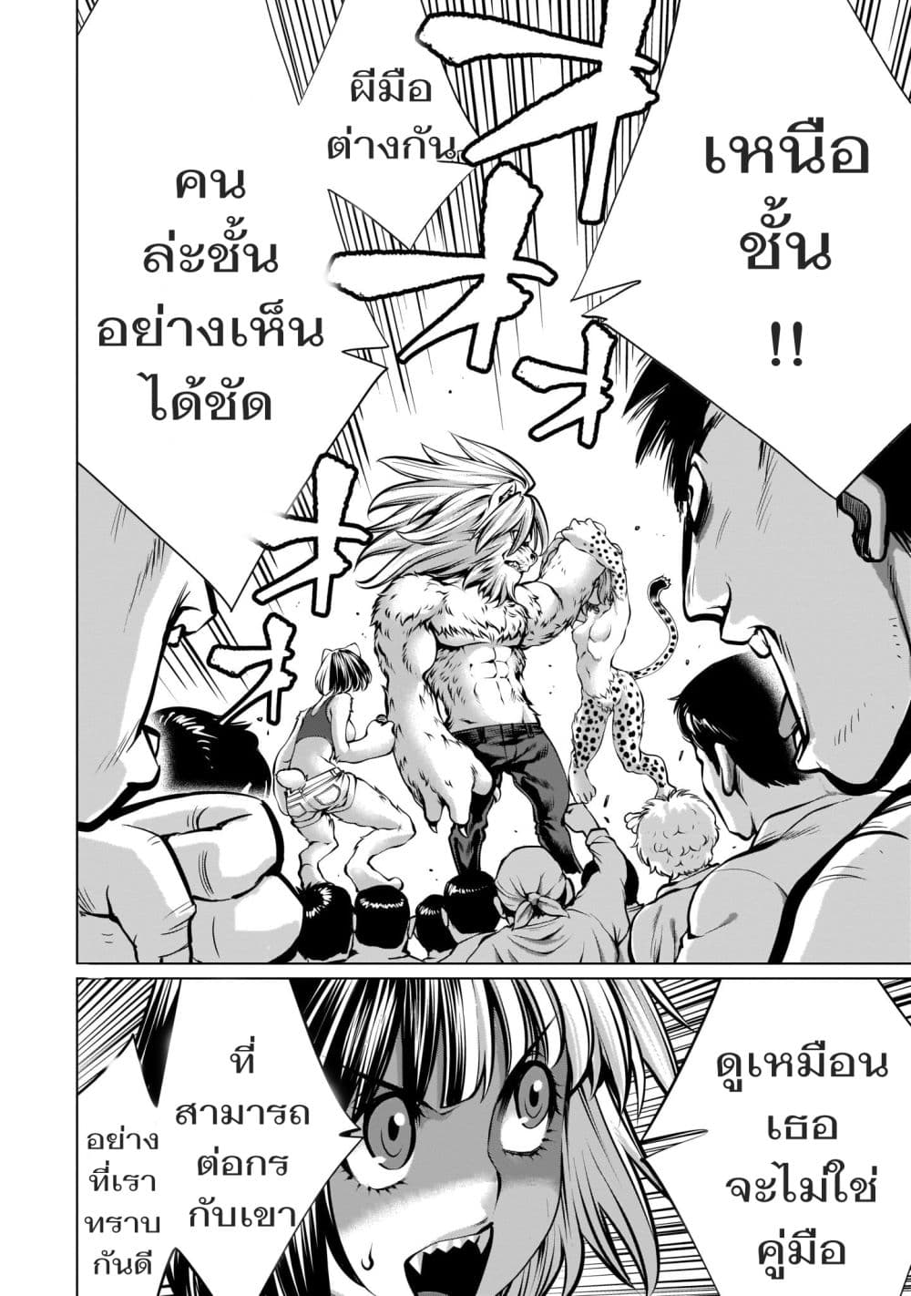 อ่านมังงะ การ์ตูน