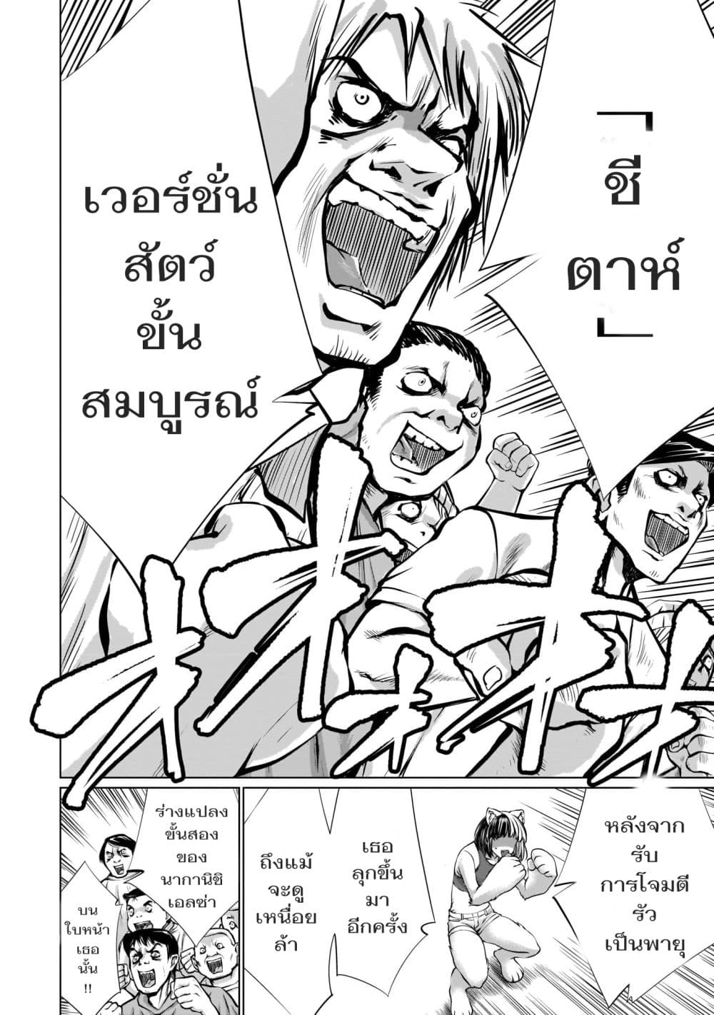 อ่านมังงะ การ์ตูน