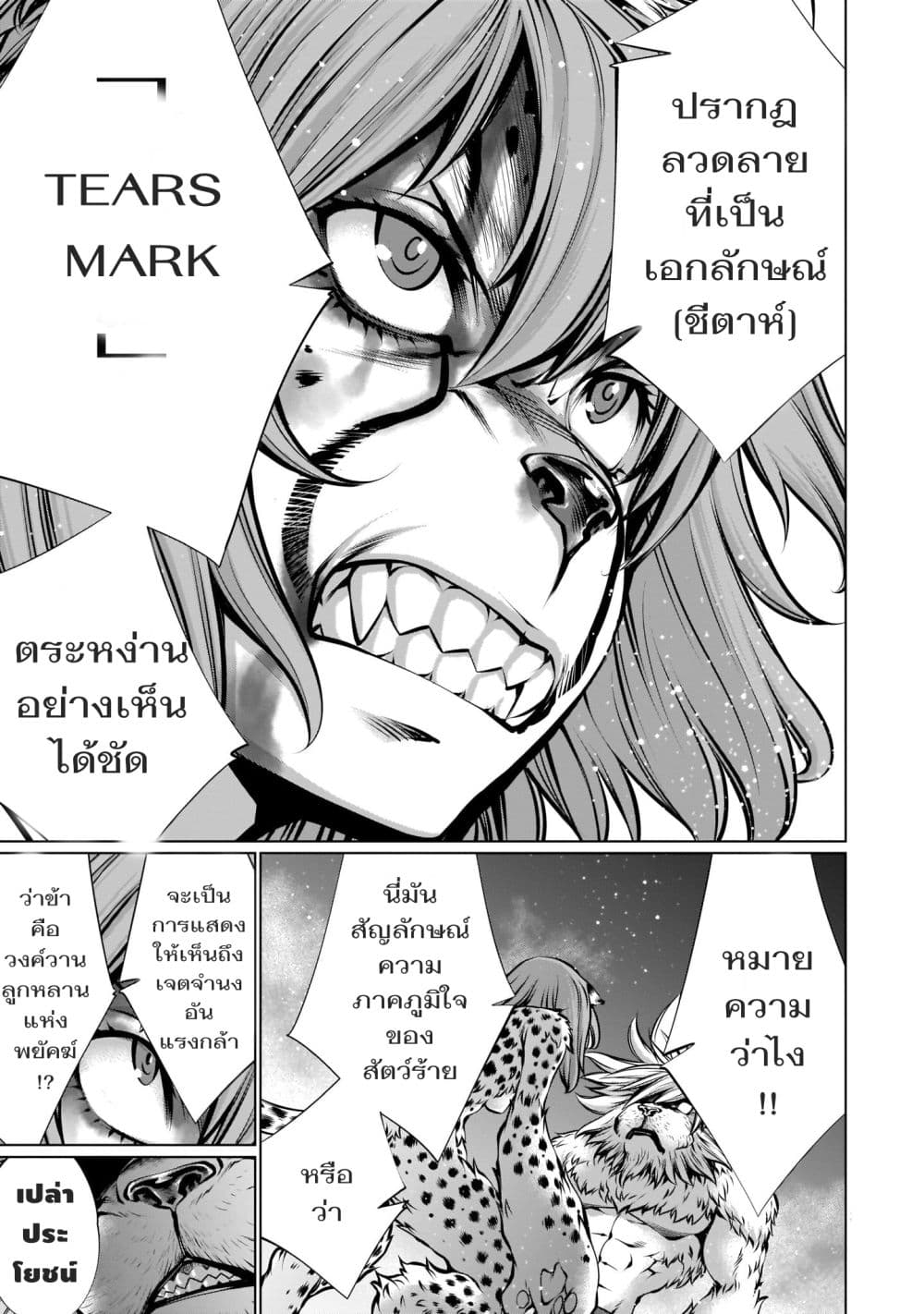 อ่านมังงะ การ์ตูน