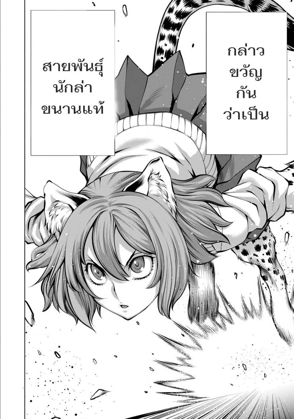 อ่านมังงะ การ์ตูน