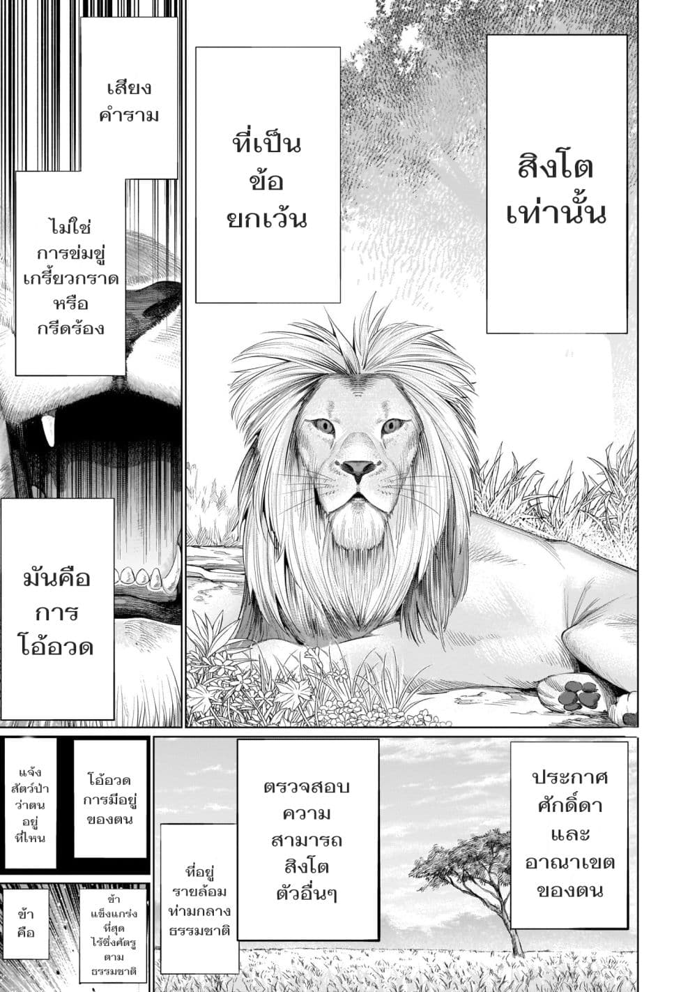 อ่านมังงะ การ์ตูน